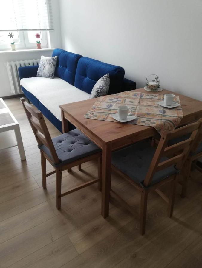 Apartamencik Perelka Skoczów エクステリア 写真