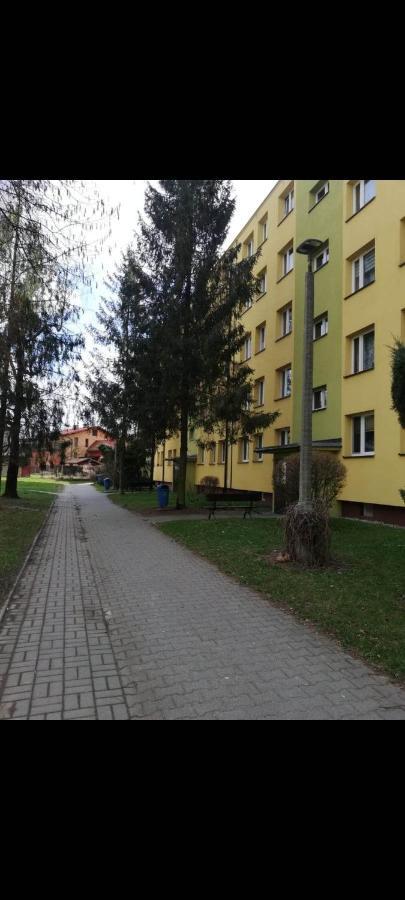 Apartamencik Perelka Skoczów エクステリア 写真